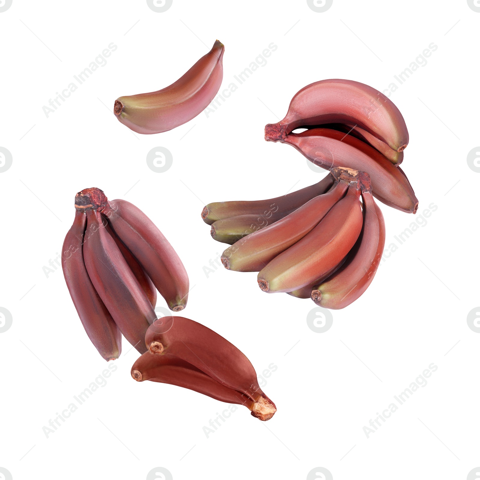 Image of Red baby bananas in air on white background