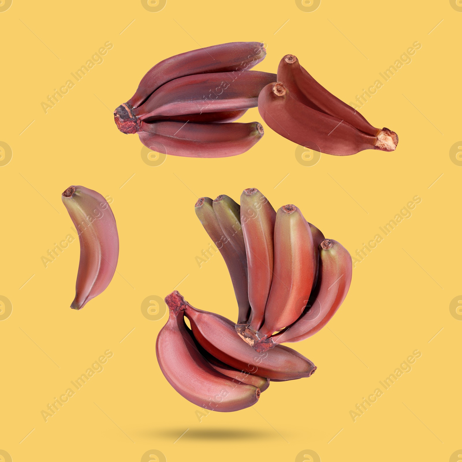 Image of Red baby bananas falling on yellow background