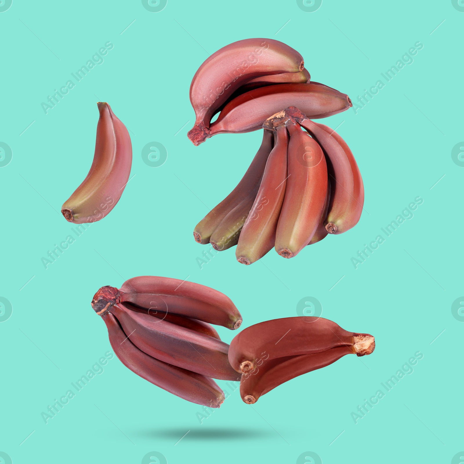 Image of Red baby bananas falling on turquoise background