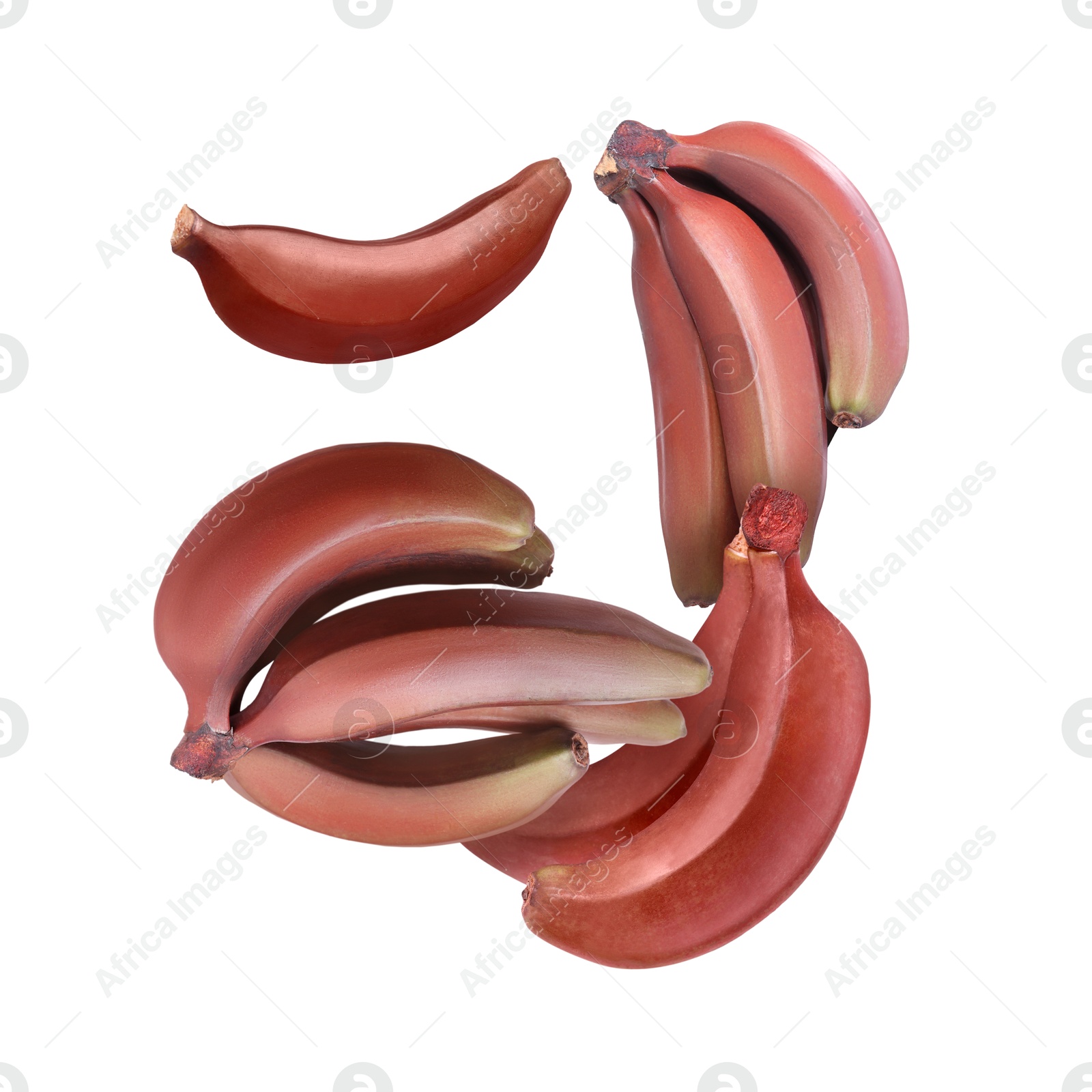 Image of Red baby bananas in air on white background