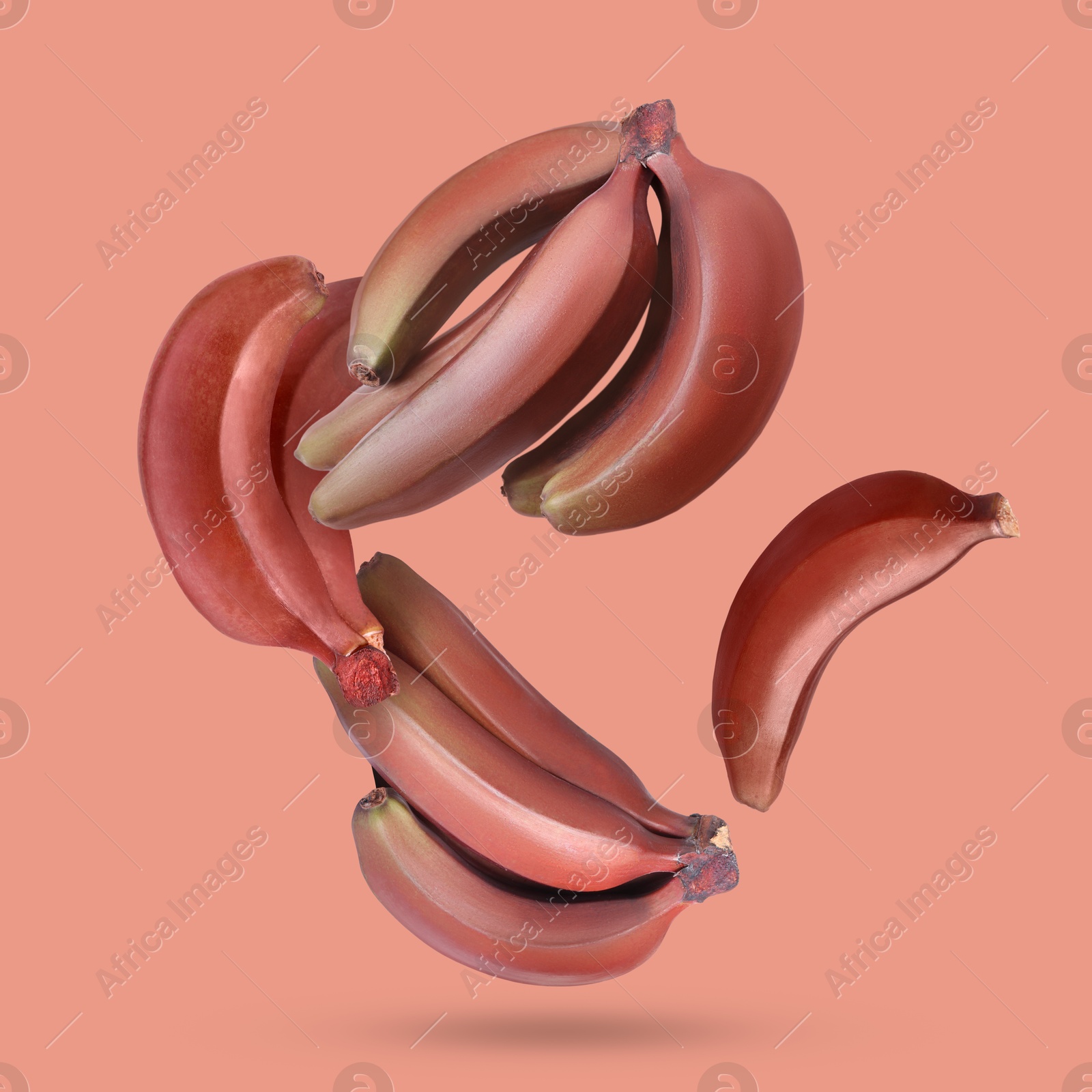 Image of Red baby bananas falling on pink background