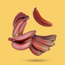 Image of Red baby bananas falling on yellow background