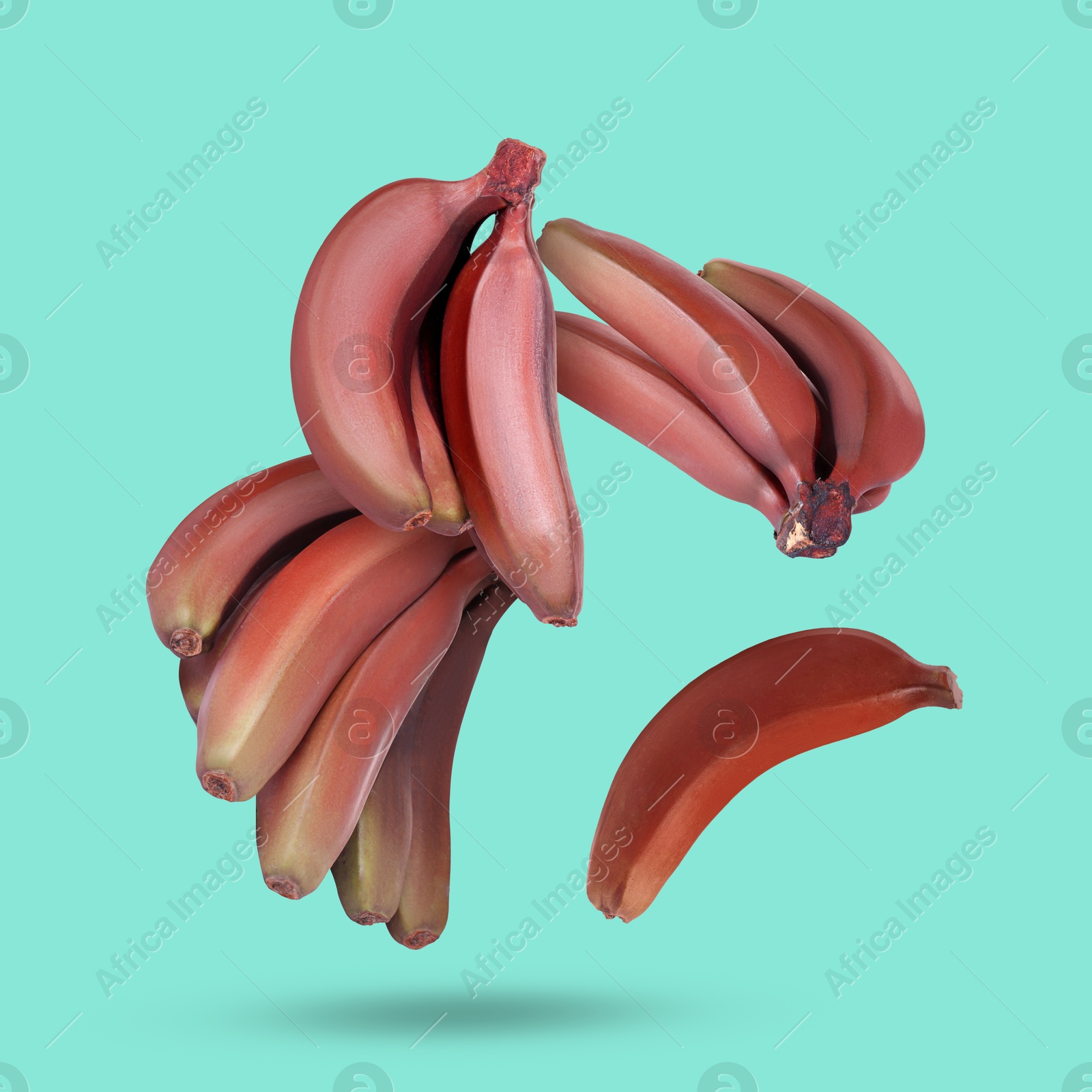 Image of Red baby bananas falling on turquoise background