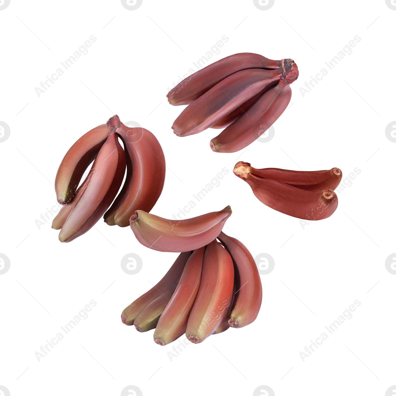 Image of Red baby bananas in air on white background