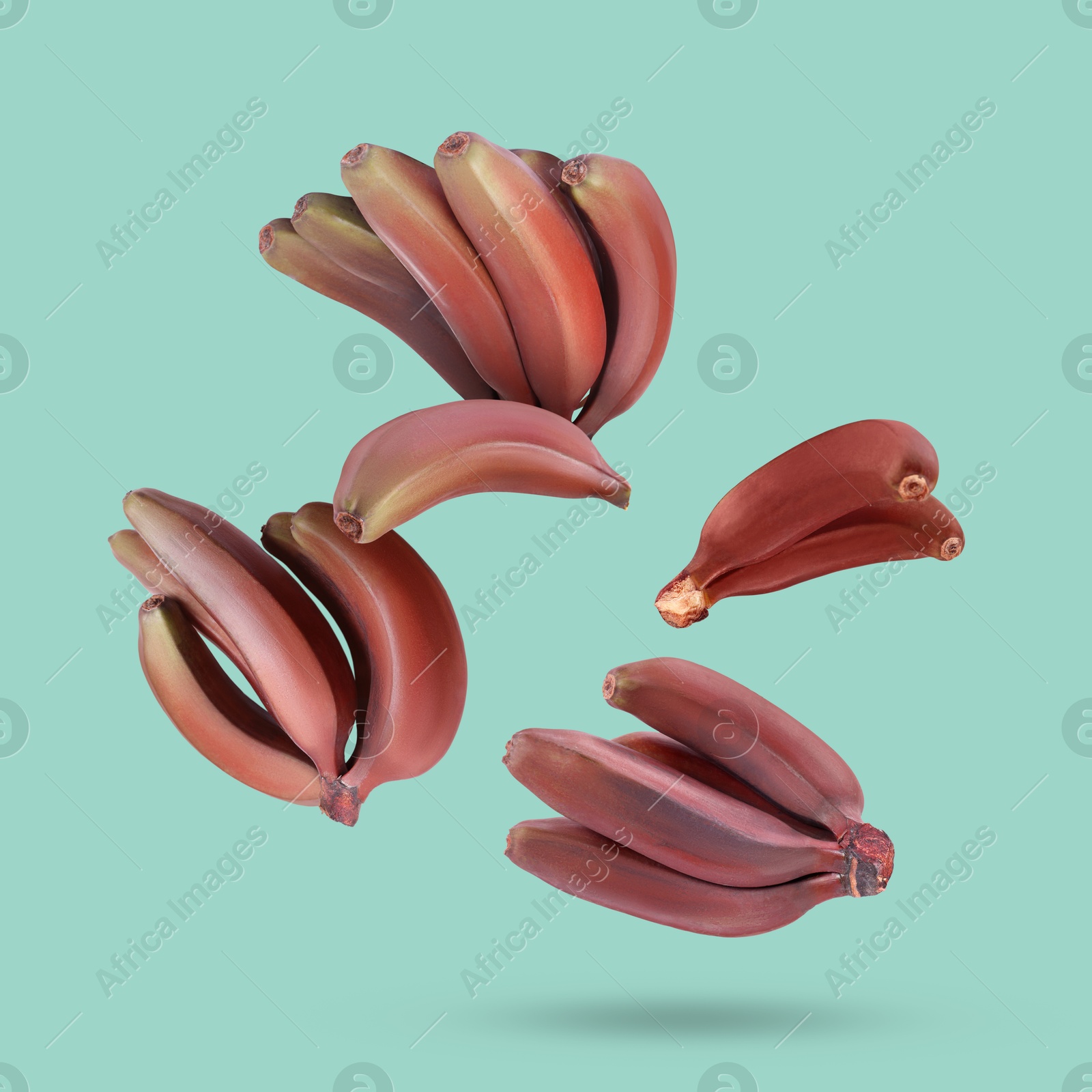 Image of Red baby bananas falling on turquoise background