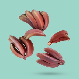 Image of Red baby bananas falling on turquoise background