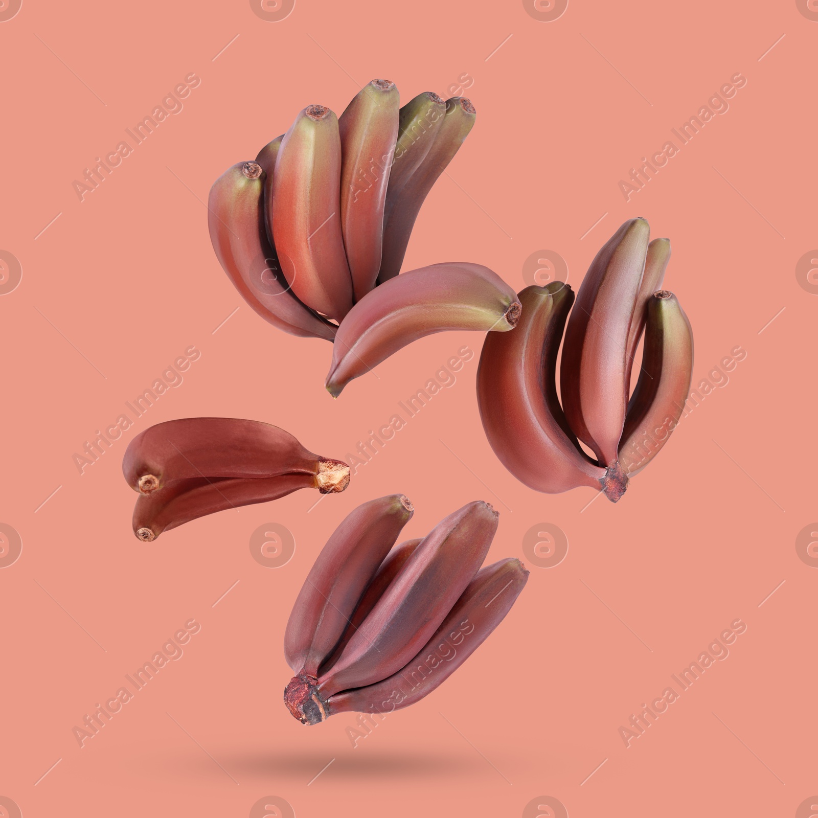 Image of Red baby bananas falling on pink background