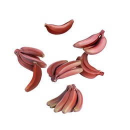 Image of Red baby bananas in air on white background