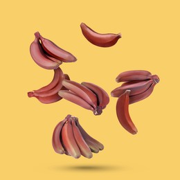 Image of Red baby bananas falling on yellow background