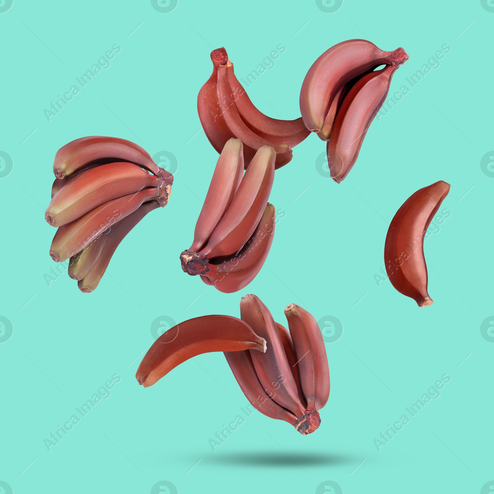 Image of Red baby bananas falling on turquoise background