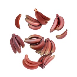 Red baby bananas in air on white background