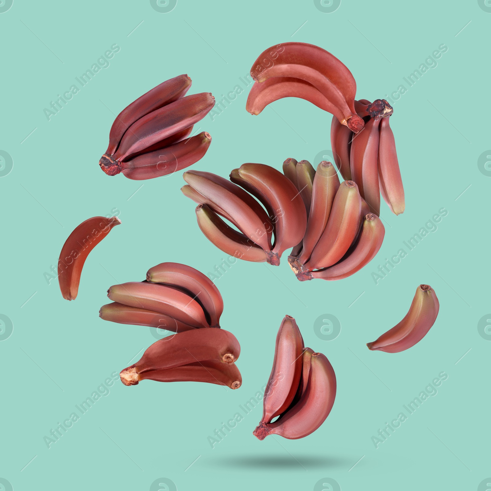 Image of Red baby bananas falling on turquoise background