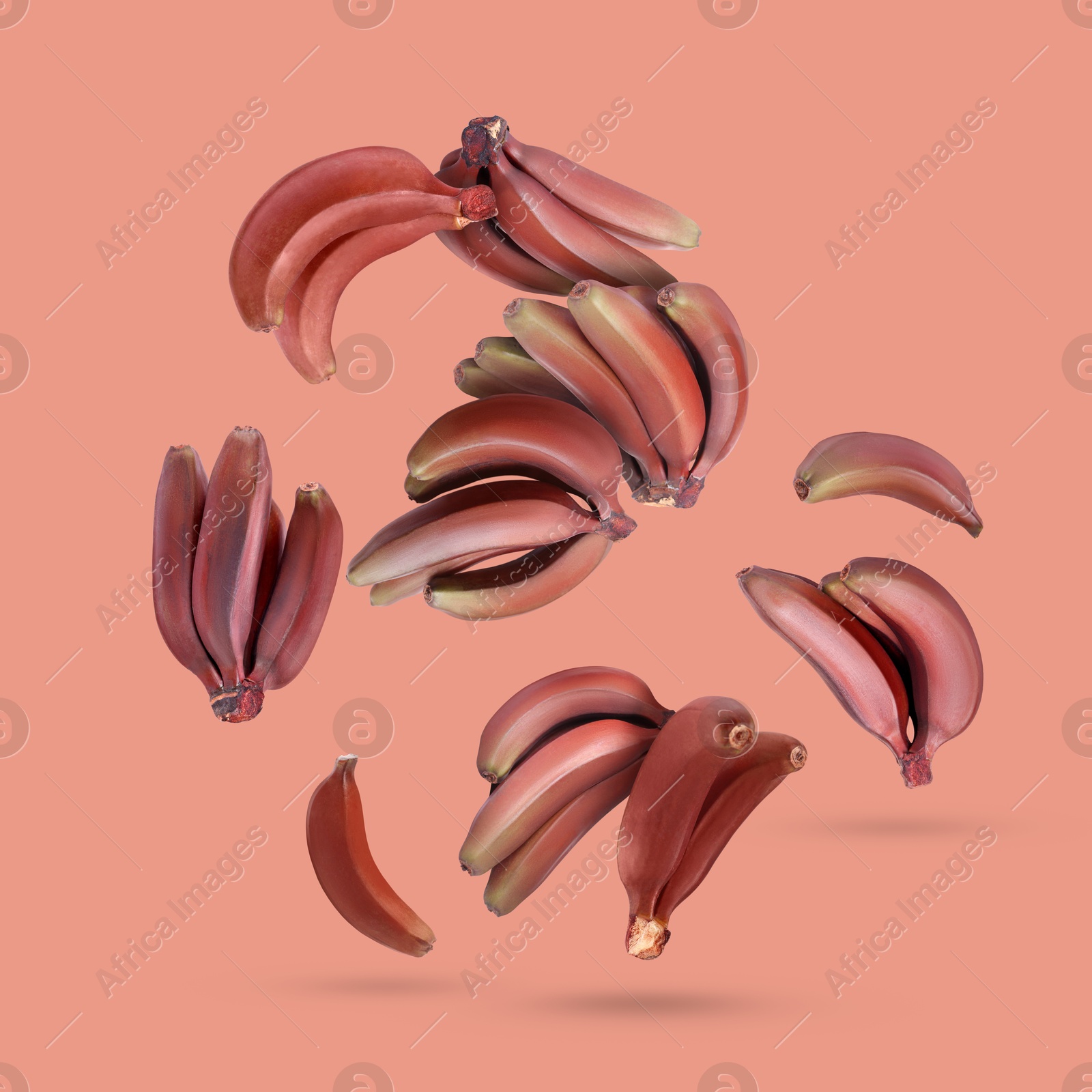 Image of Red baby bananas falling on pink background