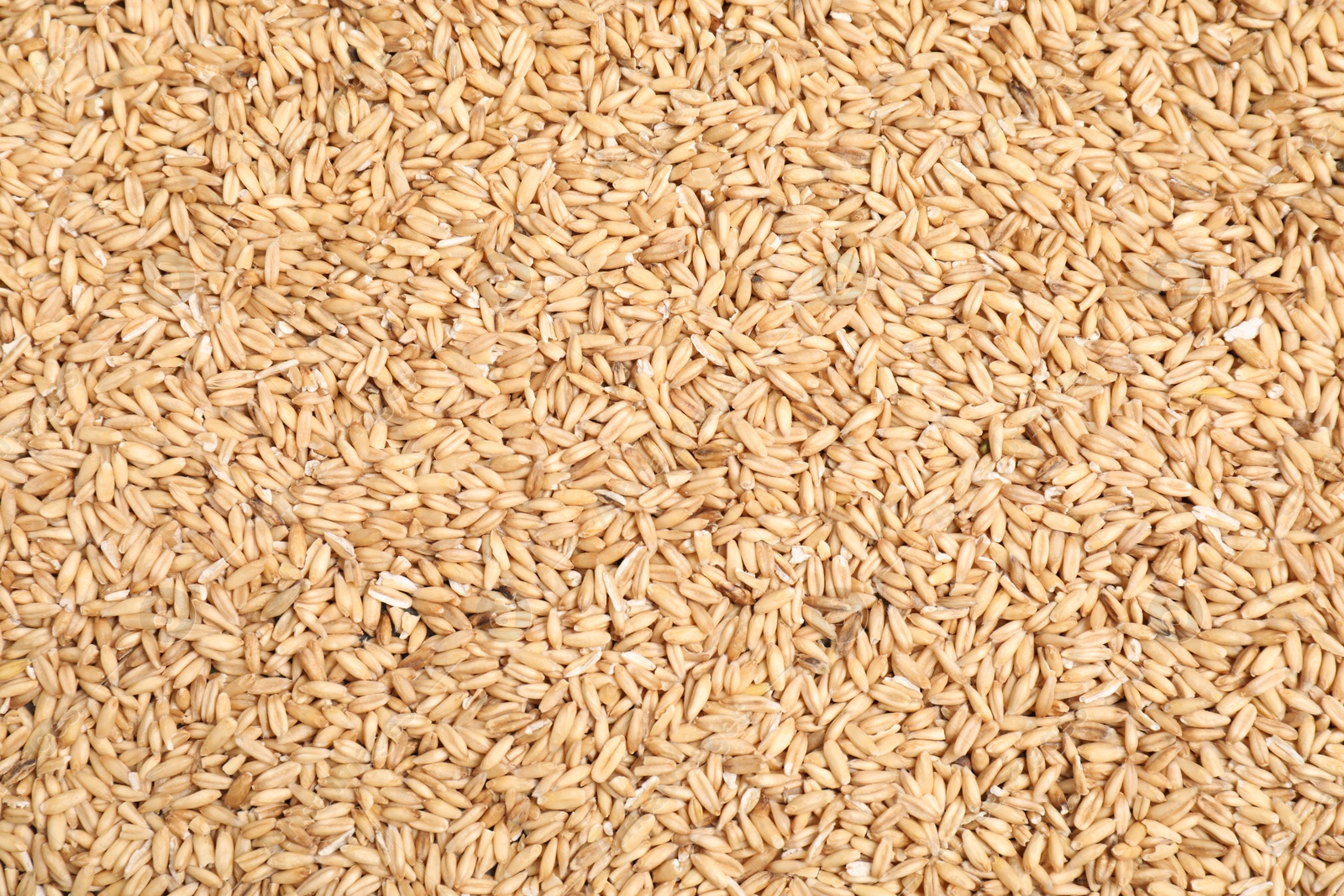 Photo of Pile of oat grains as background, top view