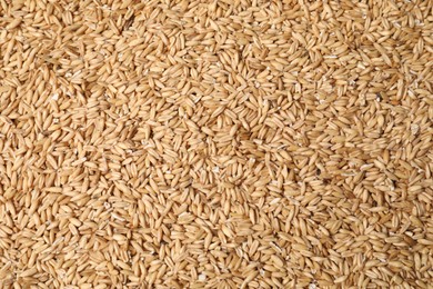 Photo of Pile of oat grains as background, top view