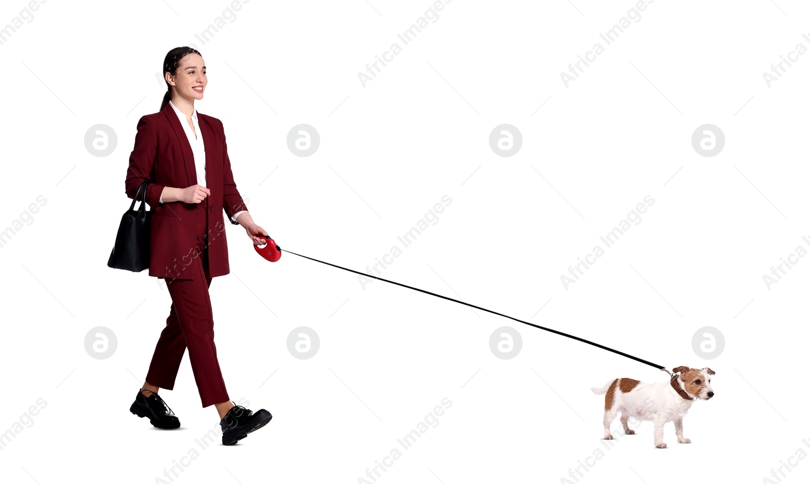 Image of Happy businesswoman walking her dog on white background