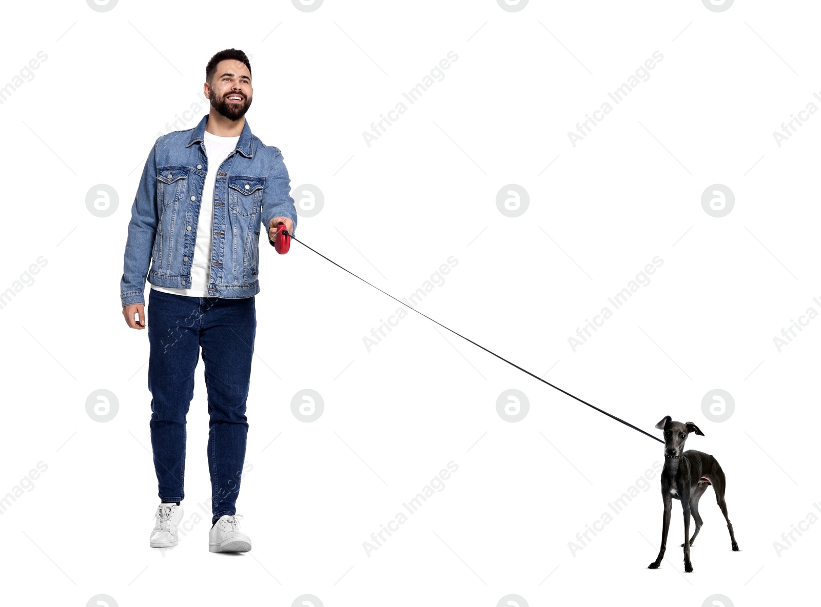 Image of Happy man walking his dog on white background