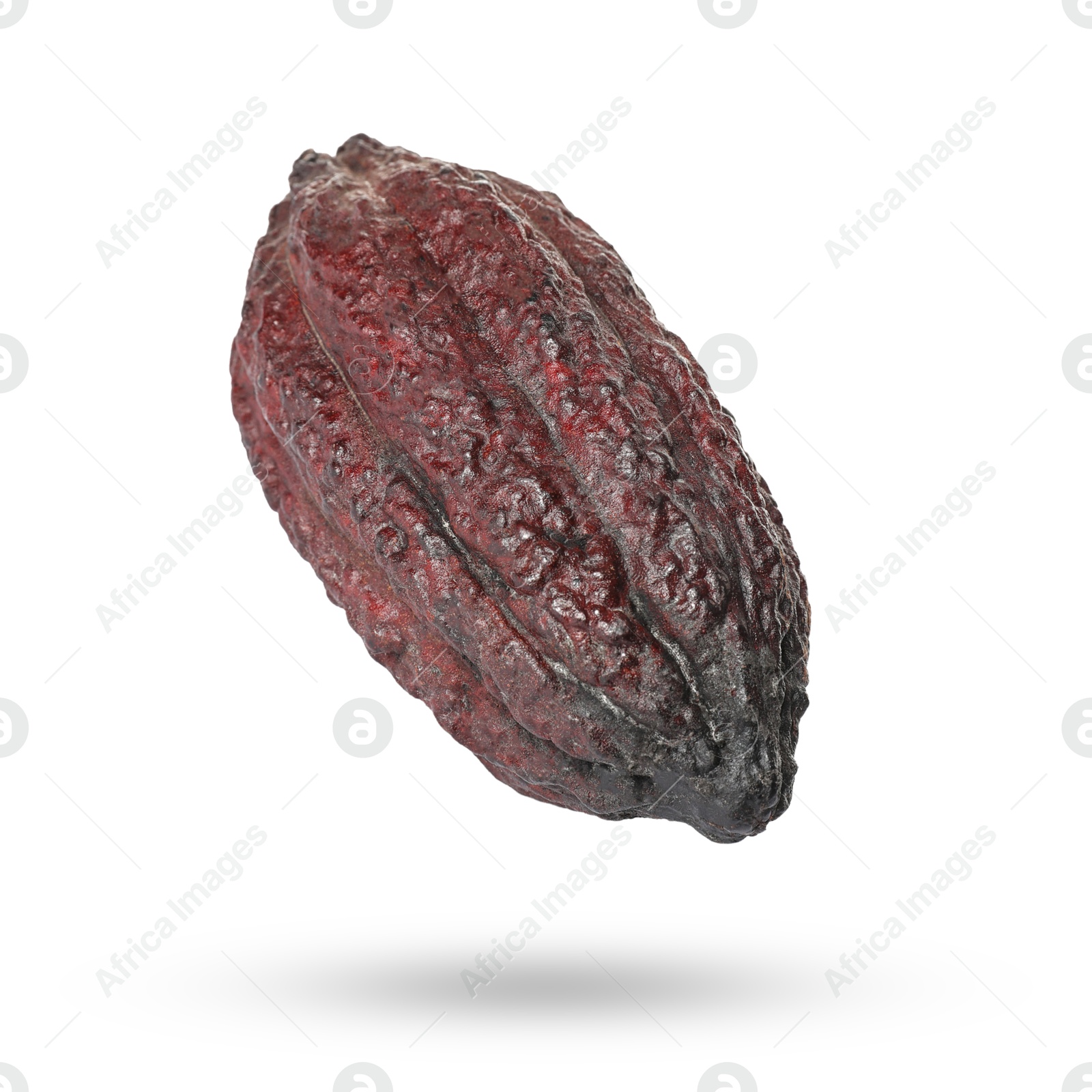 Image of Cocoa pod in air on white background