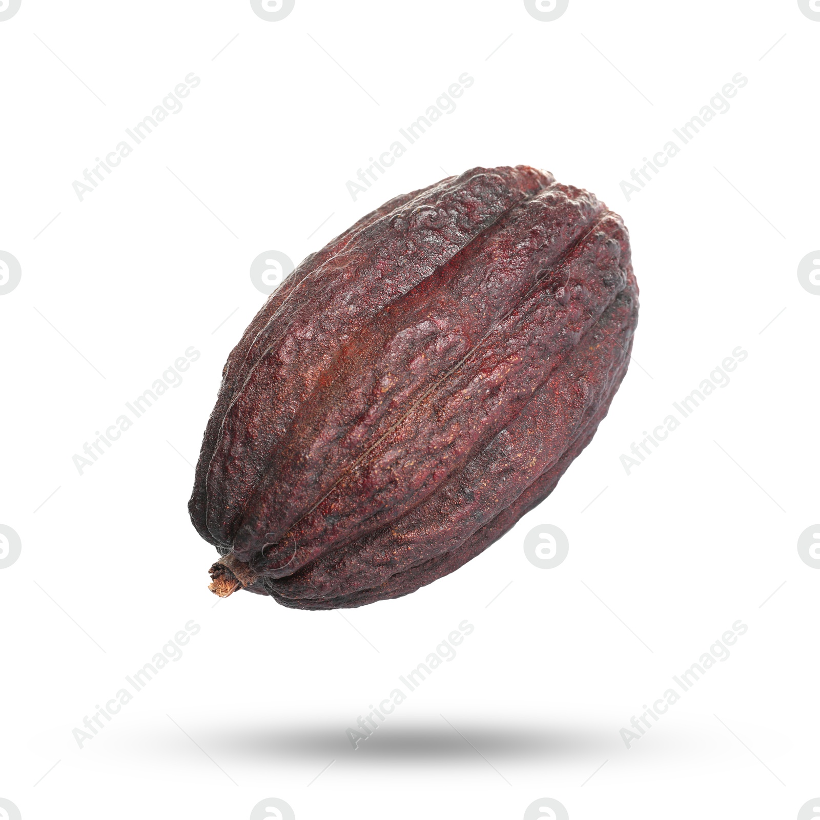 Image of Cocoa pod in air on white background