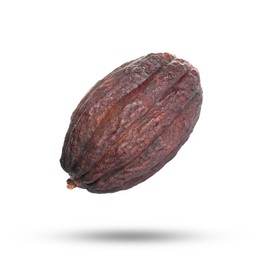 Image of Cocoa pod in air on white background