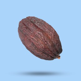 Image of Cocoa pod in air on light blue background