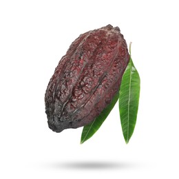 Image of Cocoa pod with green leaves in air on white background