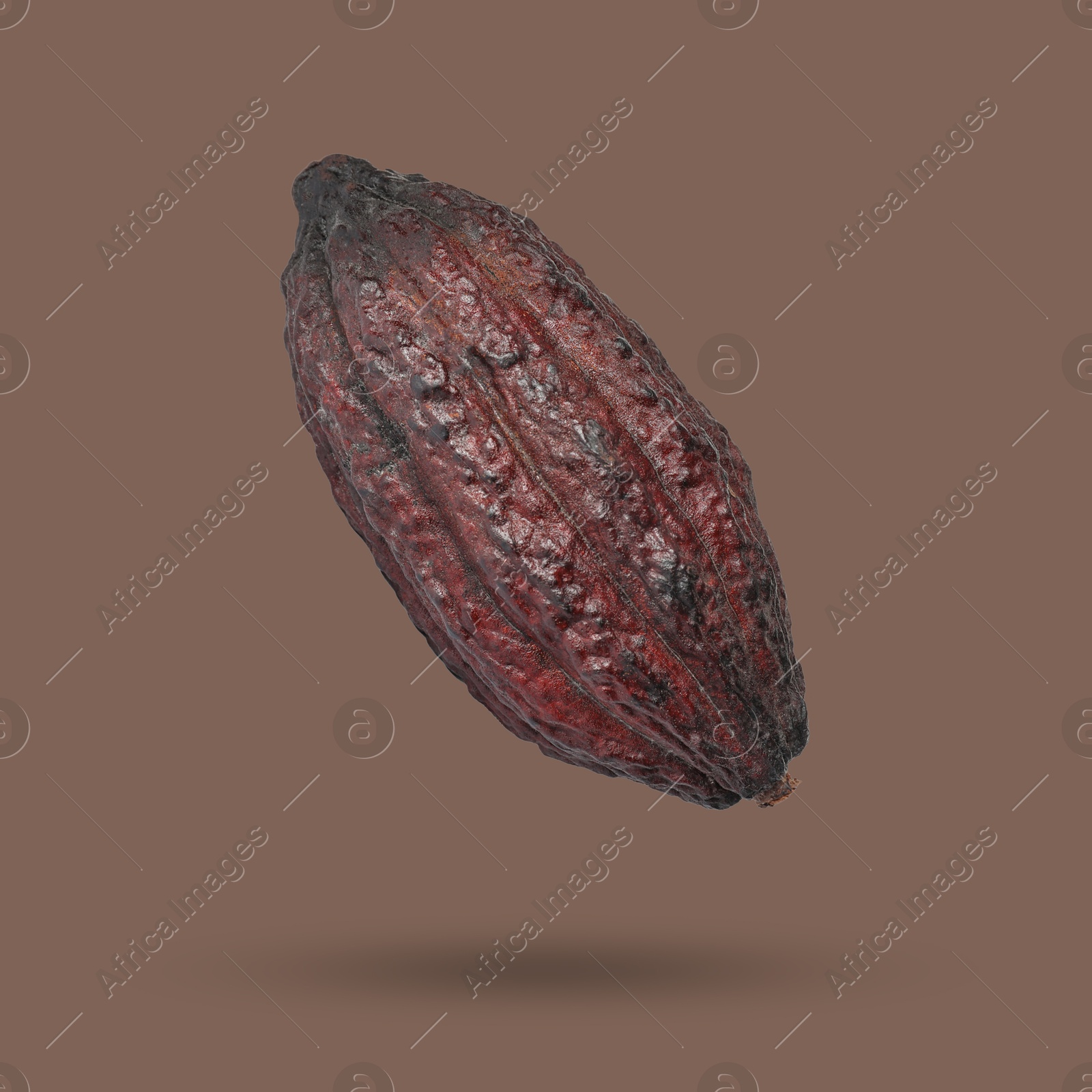 Image of Cocoa pod in air on brown background