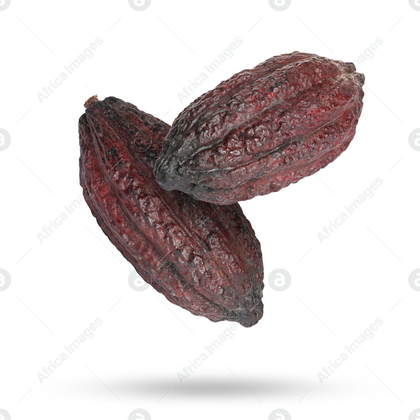 Image of Cocoa pods in air on white background