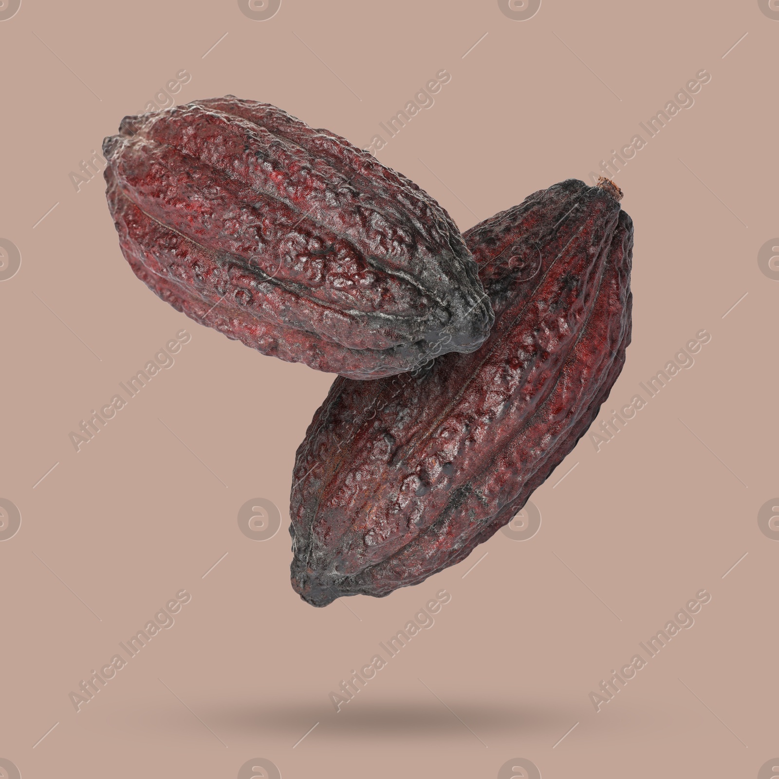 Image of Cocoa pods in air on dusty pink background