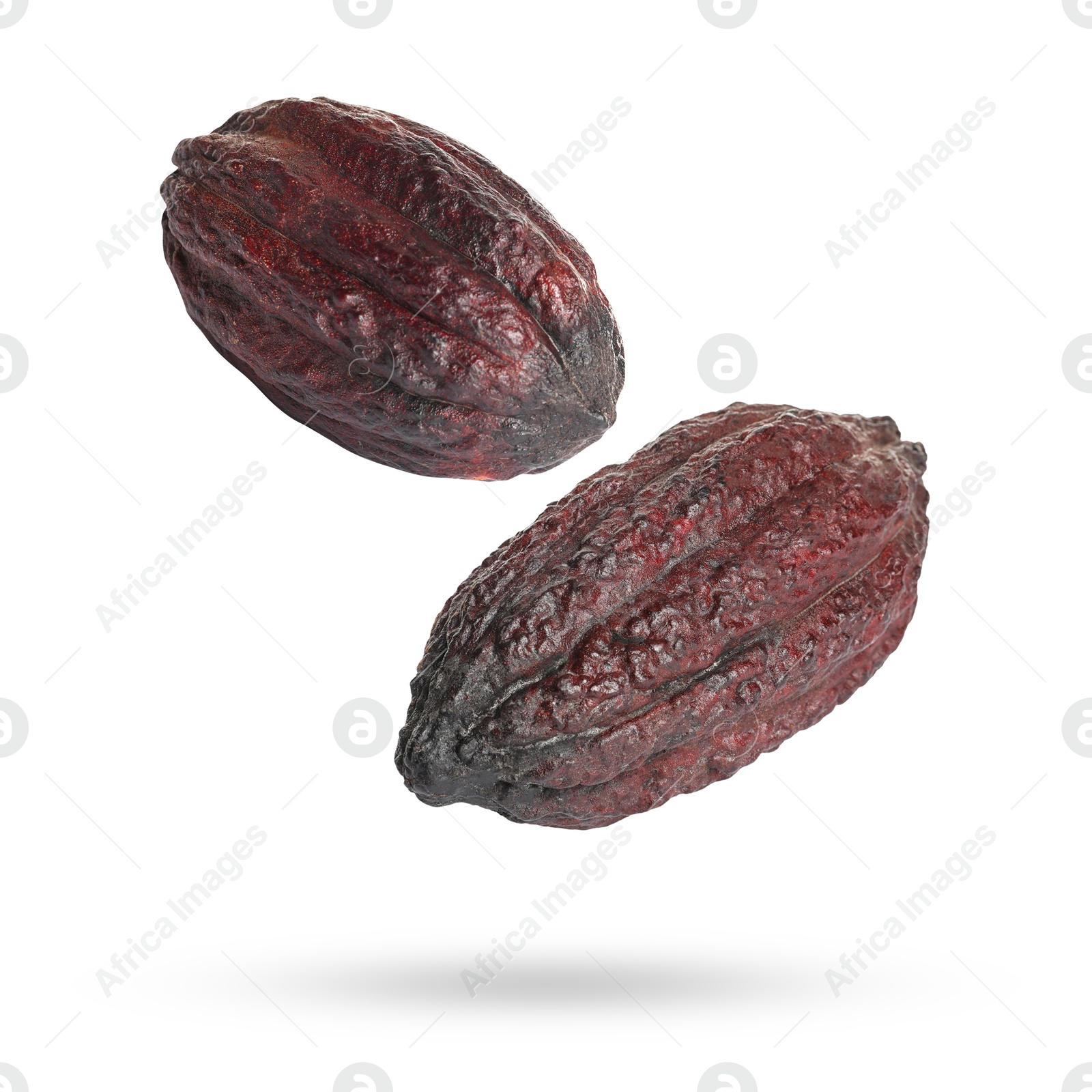 Image of Cocoa pods in air on white background