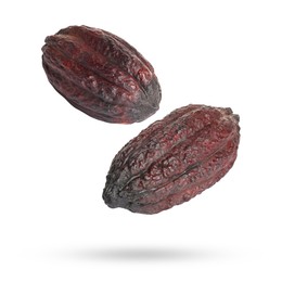 Image of Cocoa pods in air on white background