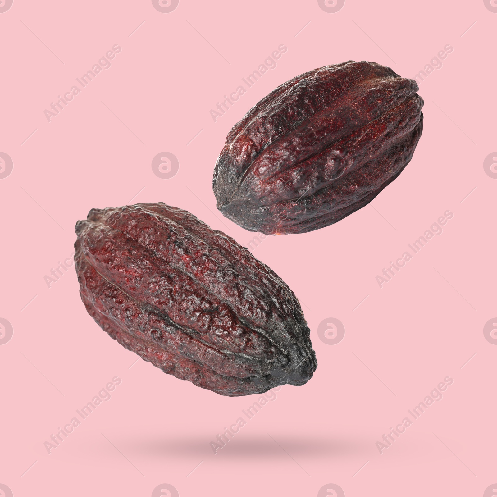 Image of Cocoa pods in air on pink background