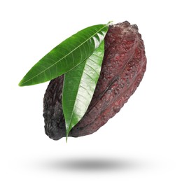 Image of Cocoa pod with green leaves in air on white background