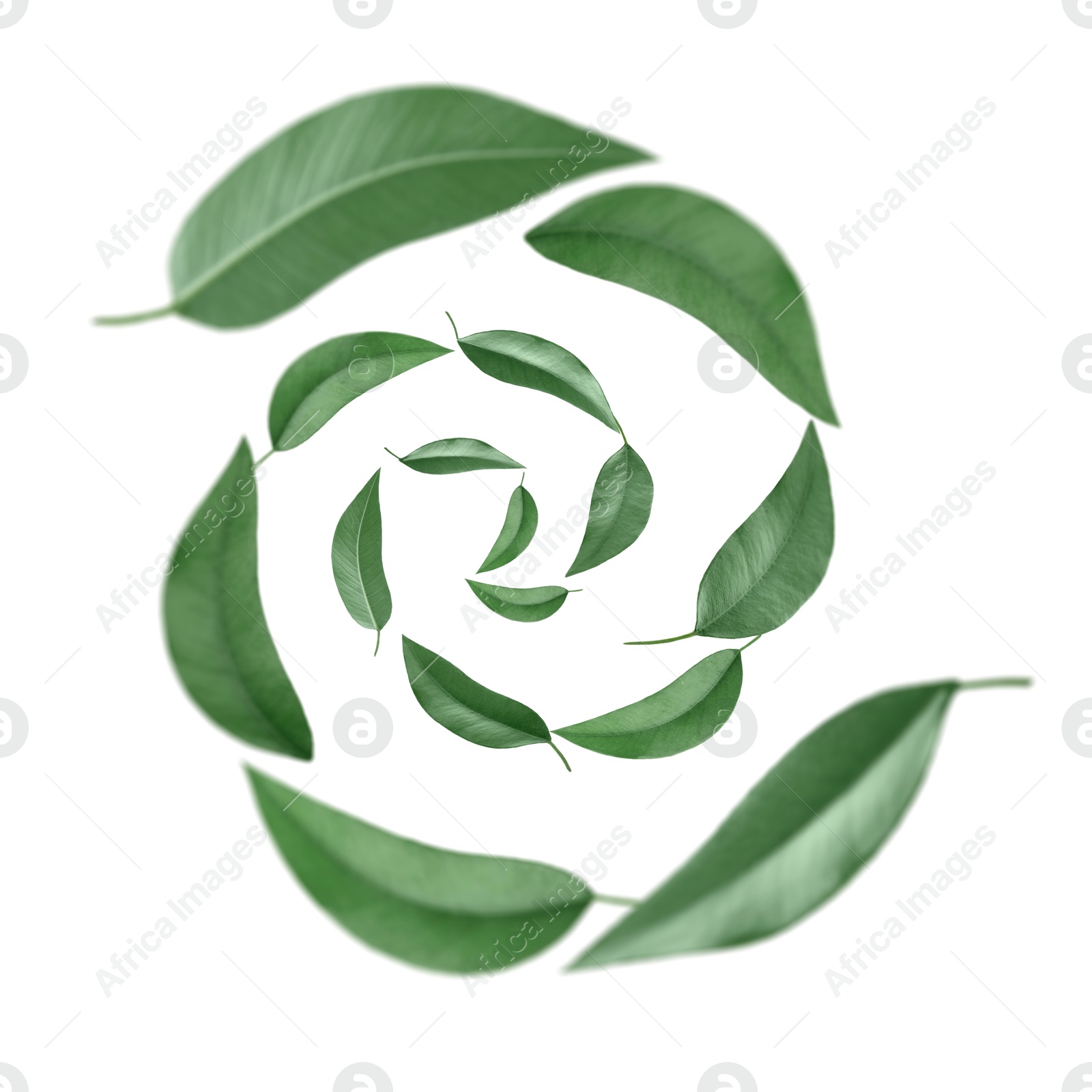 Image of Green leaves swirling in air on white background