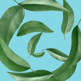 Green leaves swirling in air on light blue background