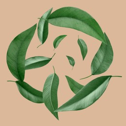 Image of Green leaves swirling in air on dusty peach color background