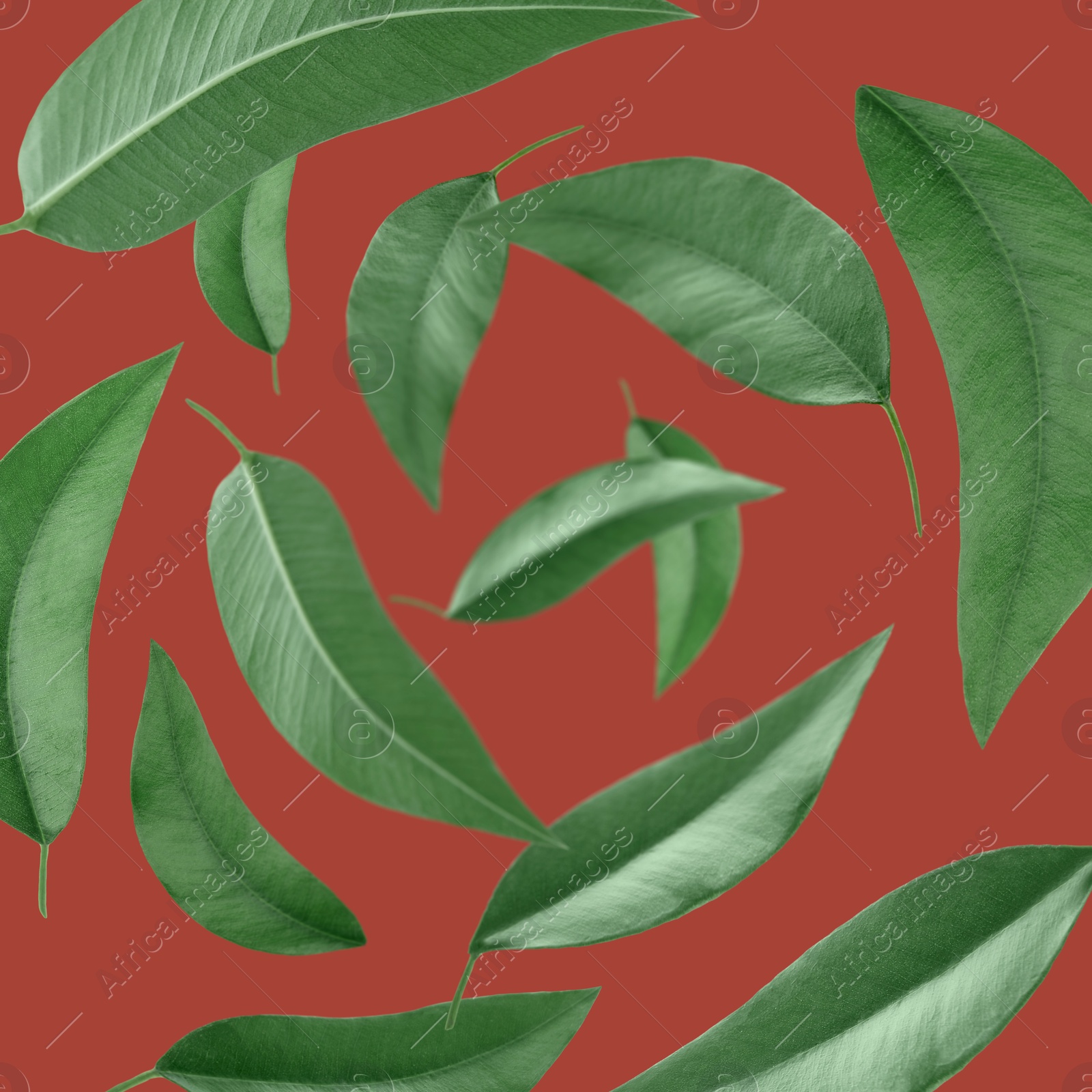 Image of Green leaves swirling in air on red background