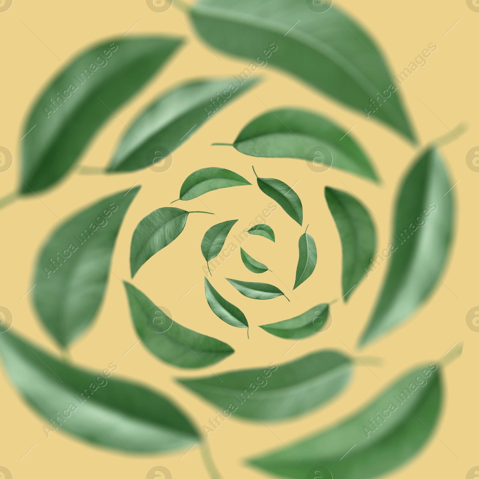 Image of Green leaves swirling in air on dusty orange background