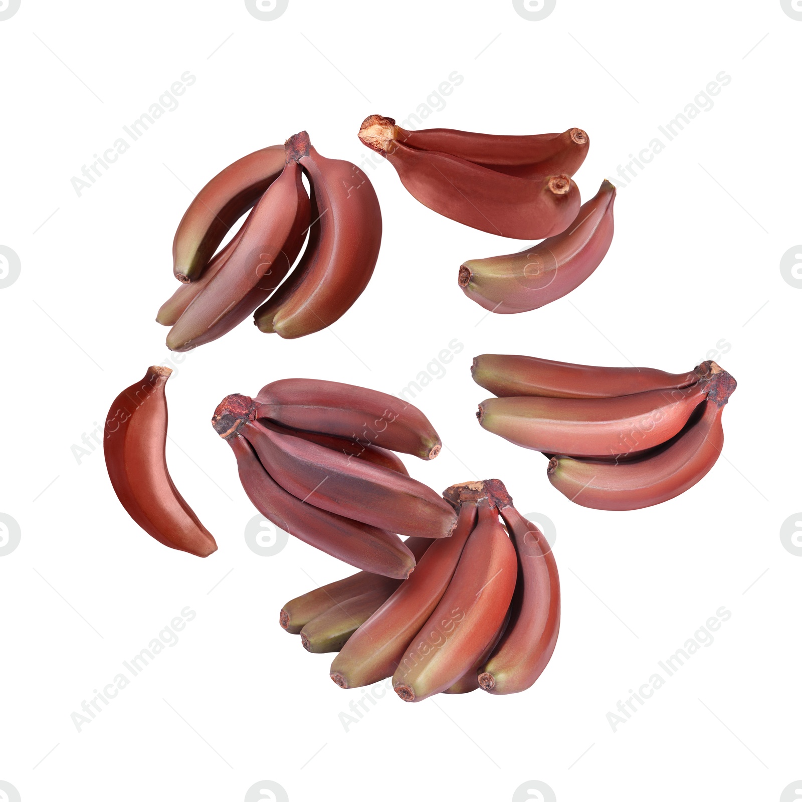 Image of Red baby bananas in air on white background