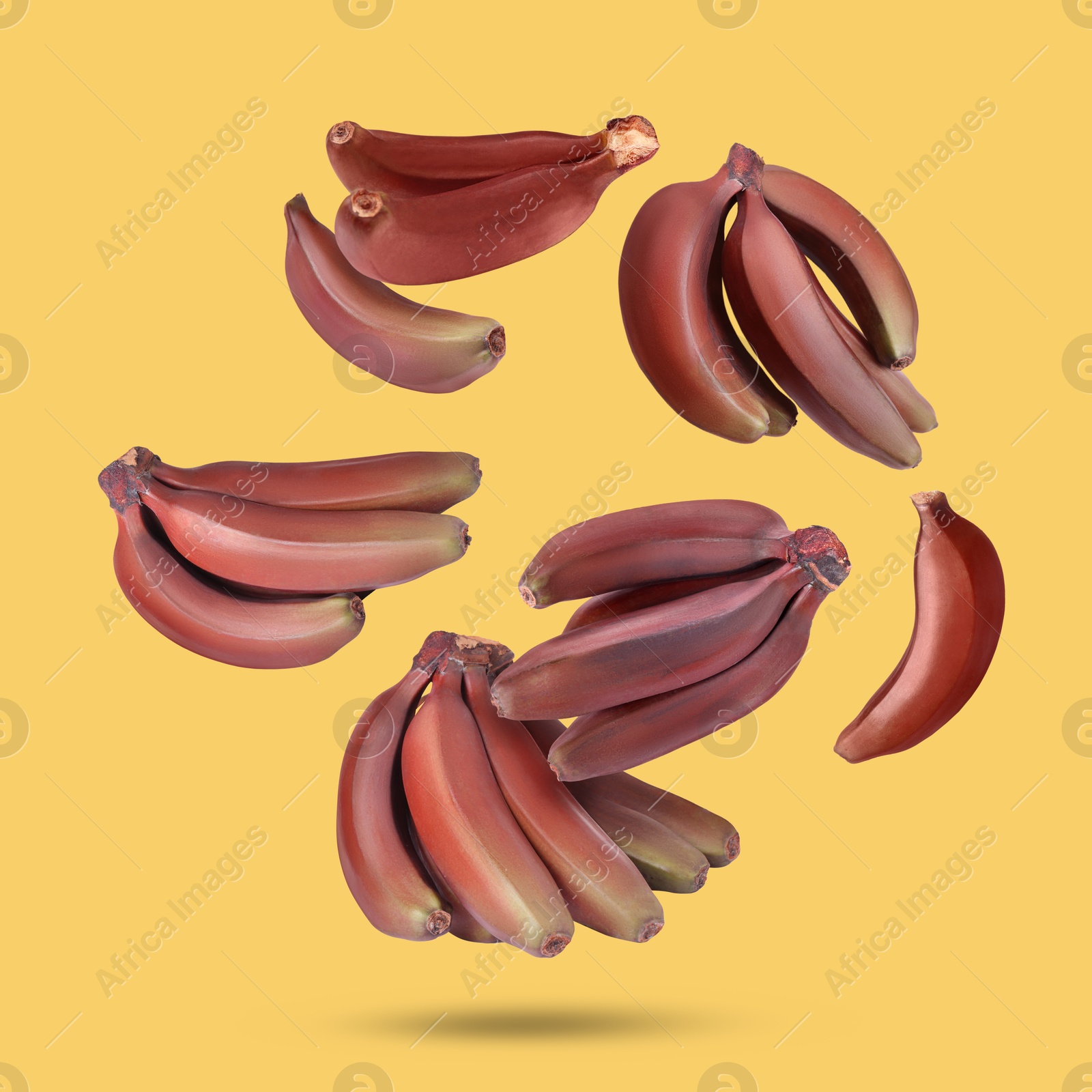 Image of Red baby bananas falling on yellow background