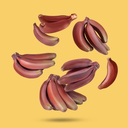 Image of Red baby bananas falling on yellow background