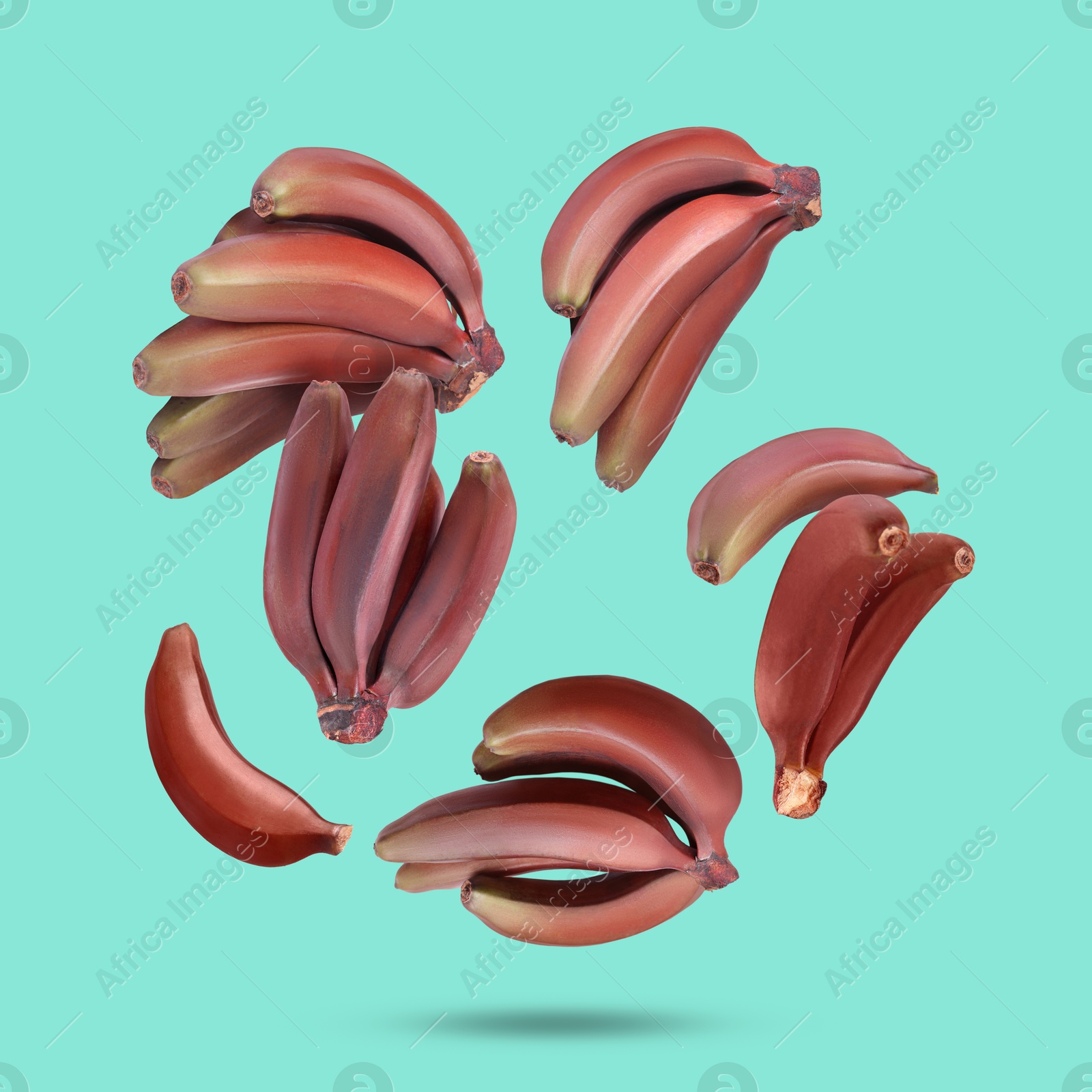 Image of Red baby bananas falling on turquoise background