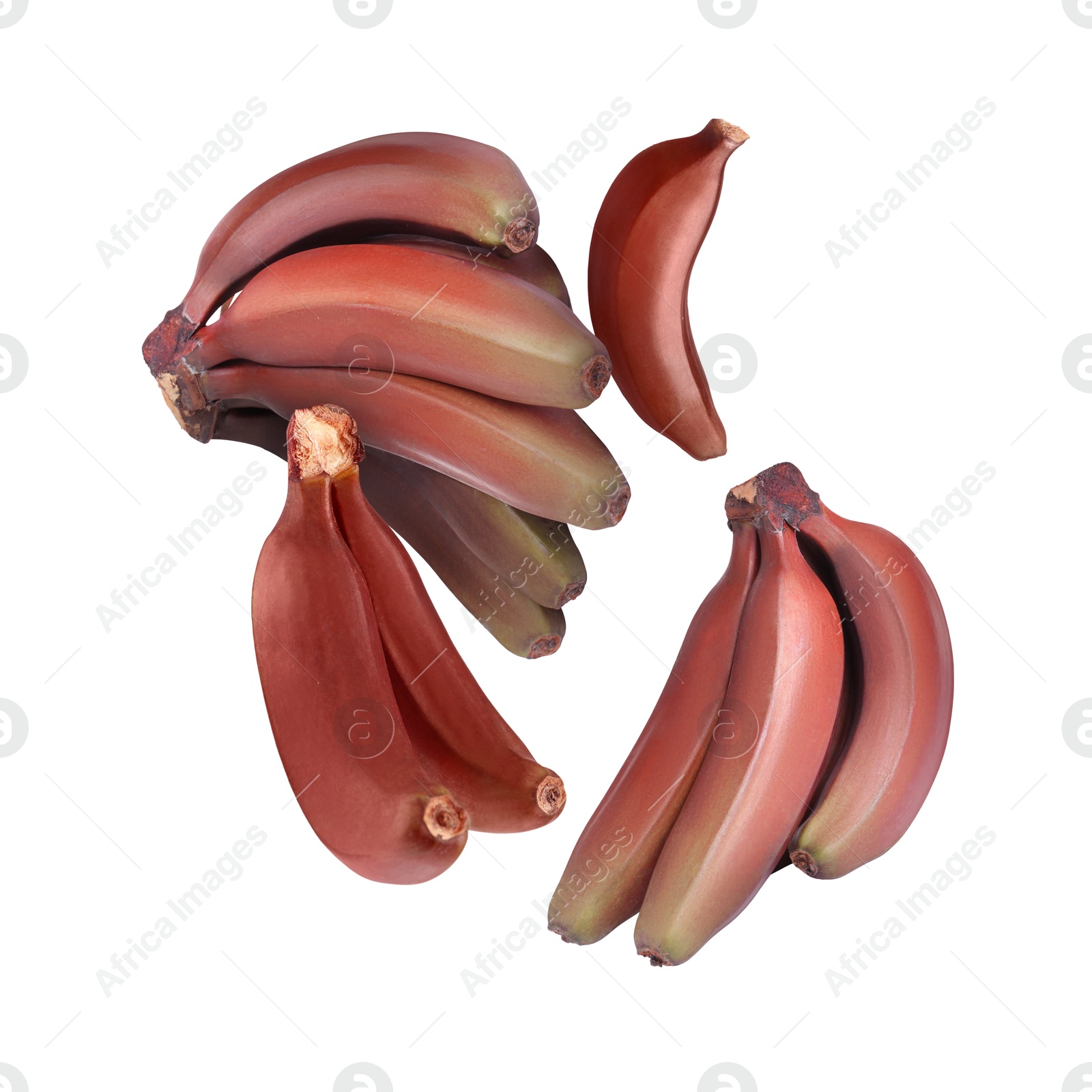 Image of Red baby bananas in air on white background