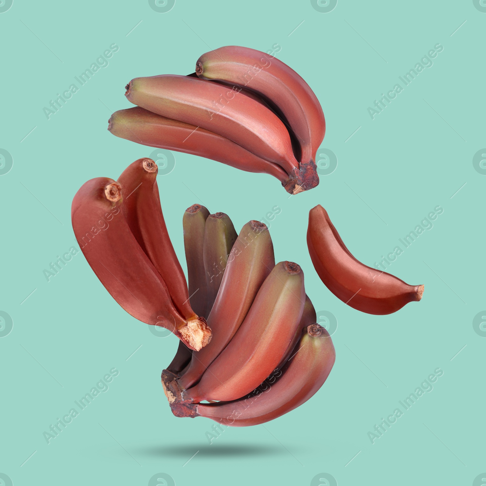 Image of Red baby bananas falling on turquoise background