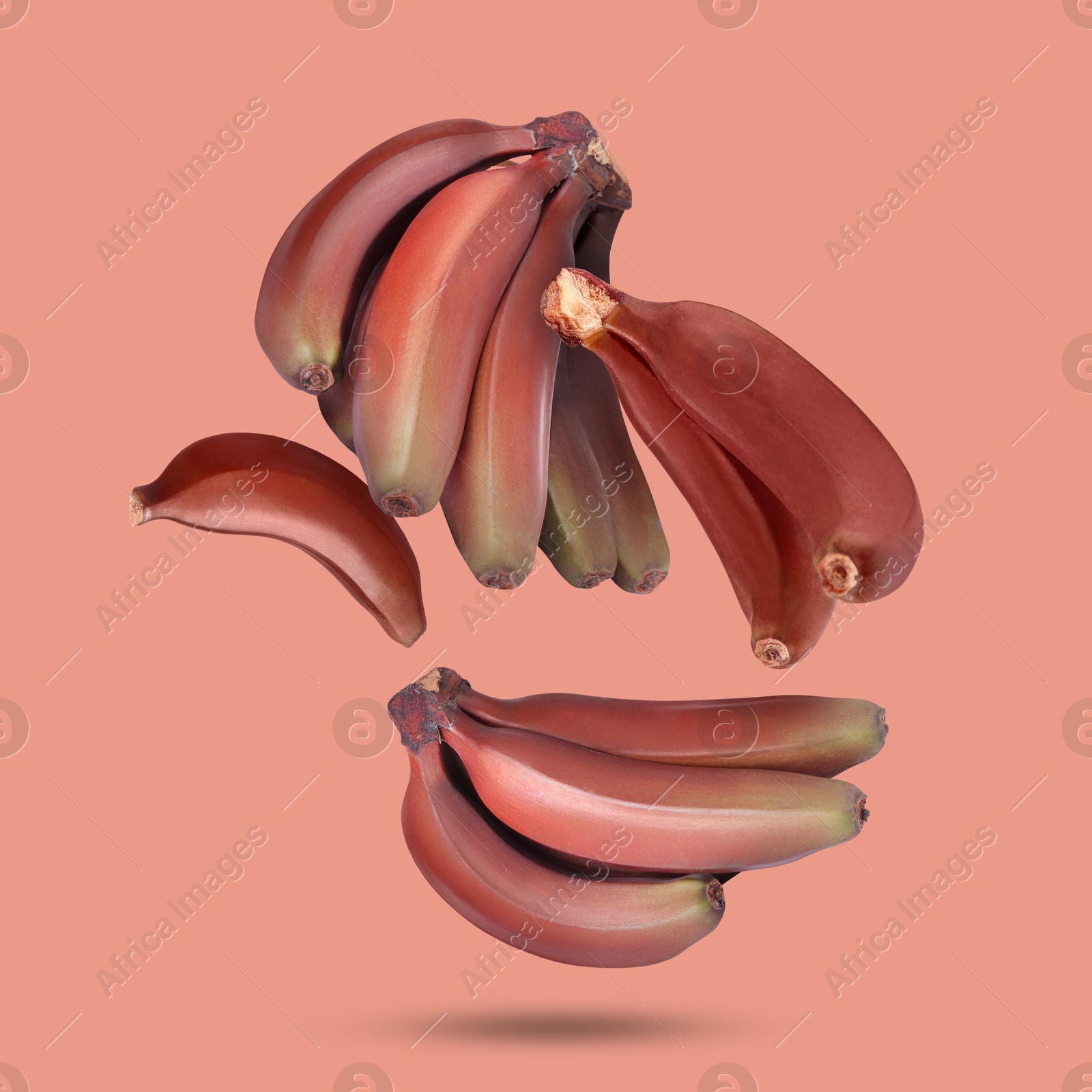 Image of Red baby bananas falling on pink background