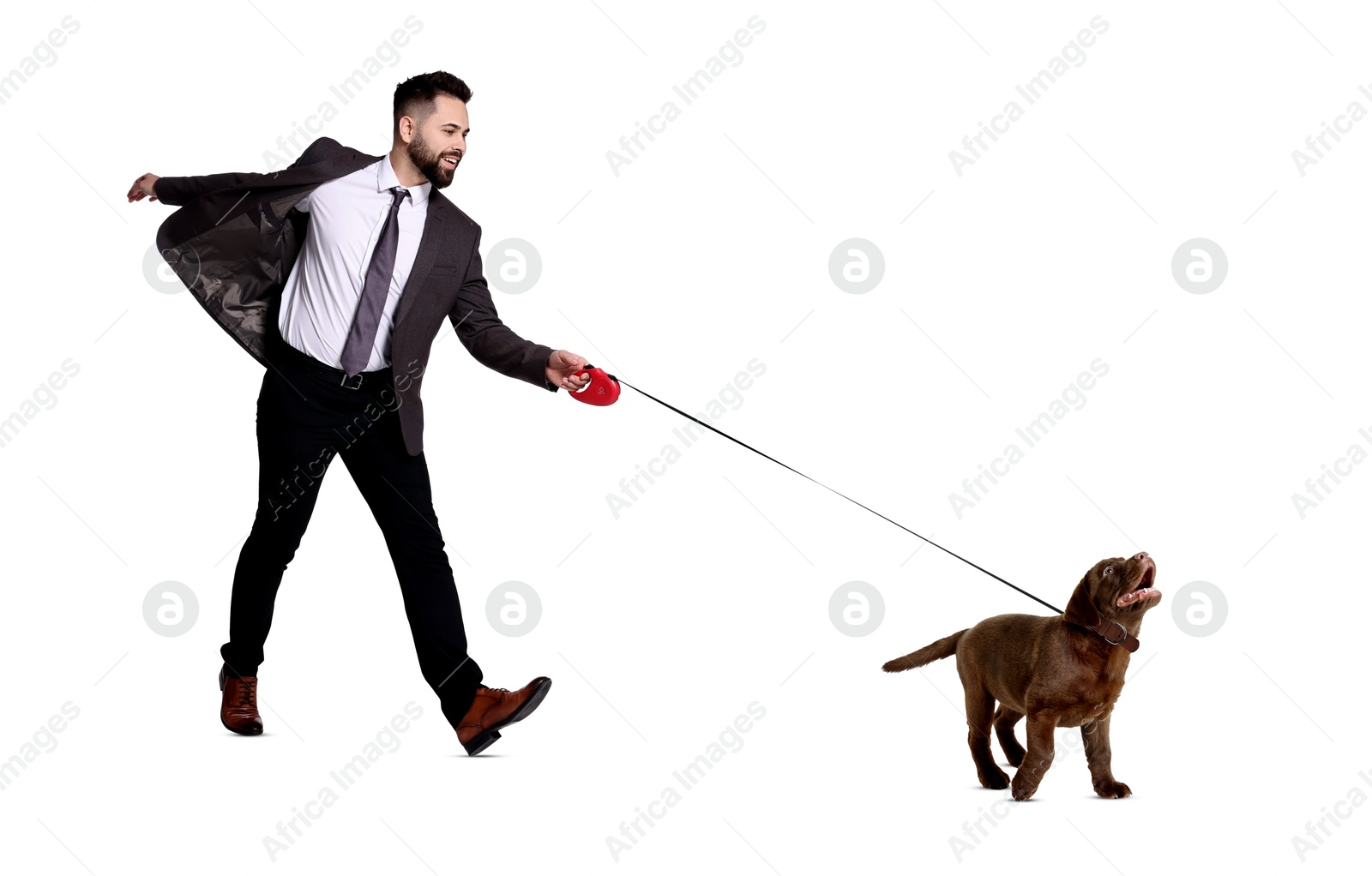 Image of Happy businessman walking his dog on white background