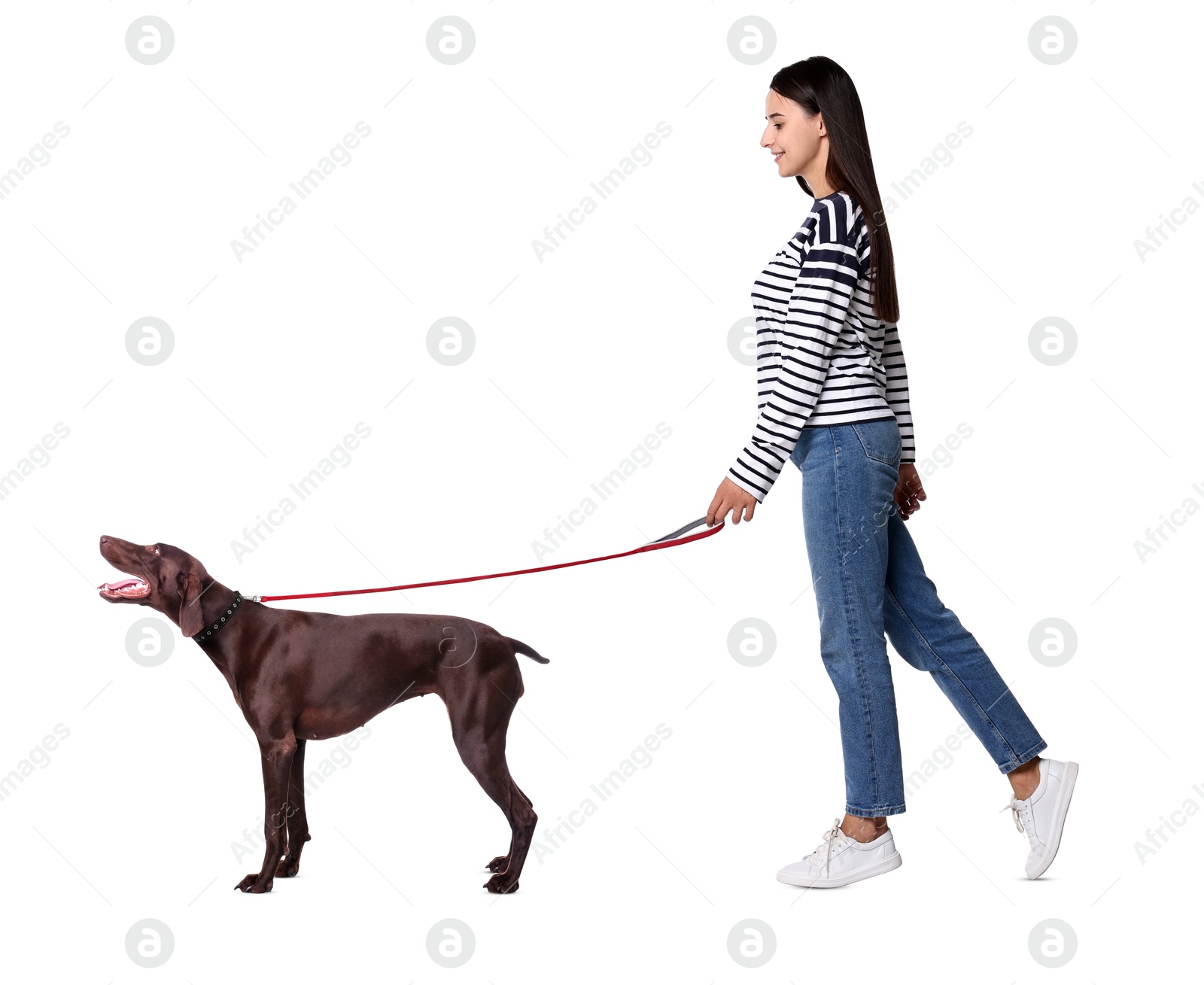 Image of Happy woman walking her dog on white background