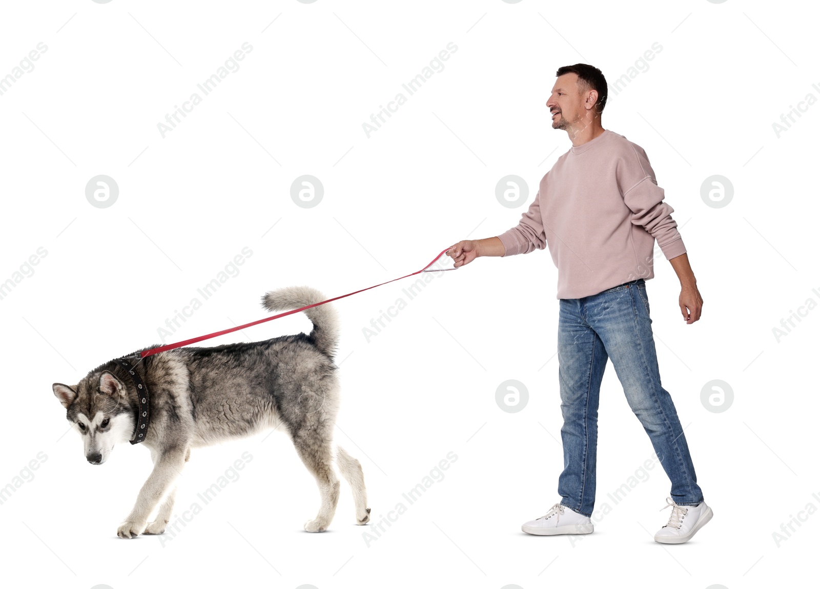 Image of Happy man walking his dog on white background