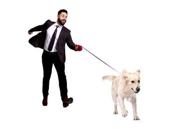 Image of Happy businessman walking his dog on white background