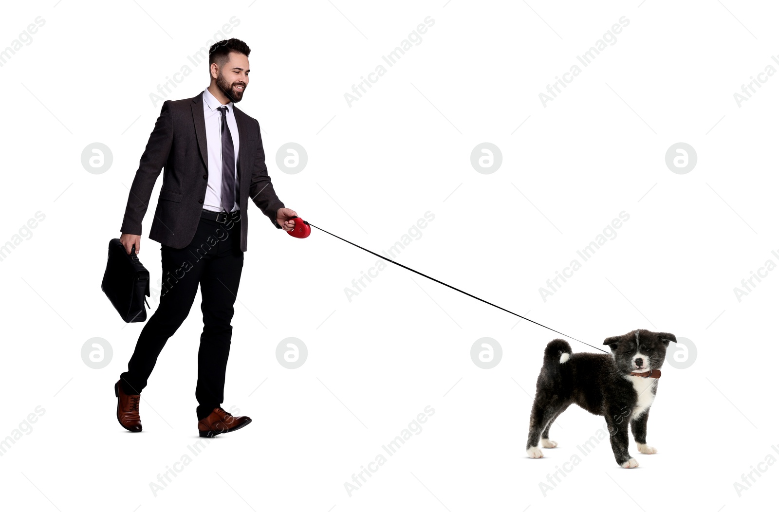 Image of Happy businessman walking his dog on white background